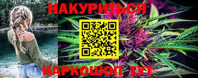 гашик Будённовск