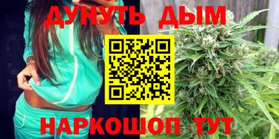 гашик Будённовск