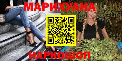 гашик Будённовск