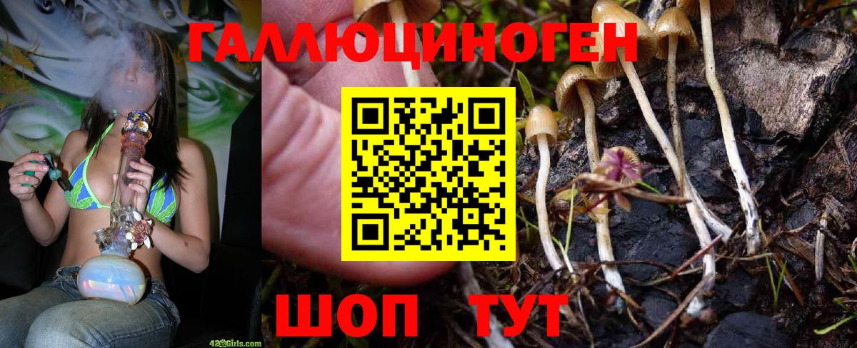 Галлюциногенные грибы мицелий Курчалой