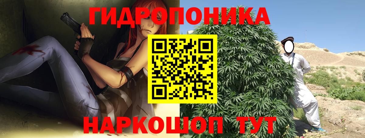 Курчалой  МАРИХУАНА VHQ  Шишки марихуана марихуана  Каннабис THC 21%  Вход с VPN 